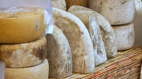 Queso pecorino vs. queso parmesano: ¿Cuál es la diferencia?