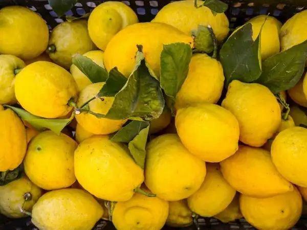 Before adding lemons to your shopping cart, be sure to check this detail
