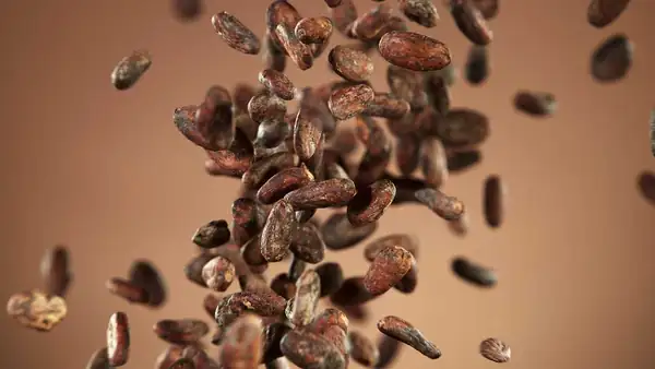 SottoFava, el primer festival dedicado al chocolate italiano elaborado desde el grano hasta la barra