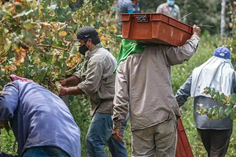 Labor and social responsibility: approaches and critical issues
