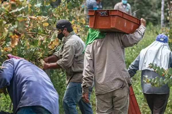 Labor and social responsibility: approaches and critical issues