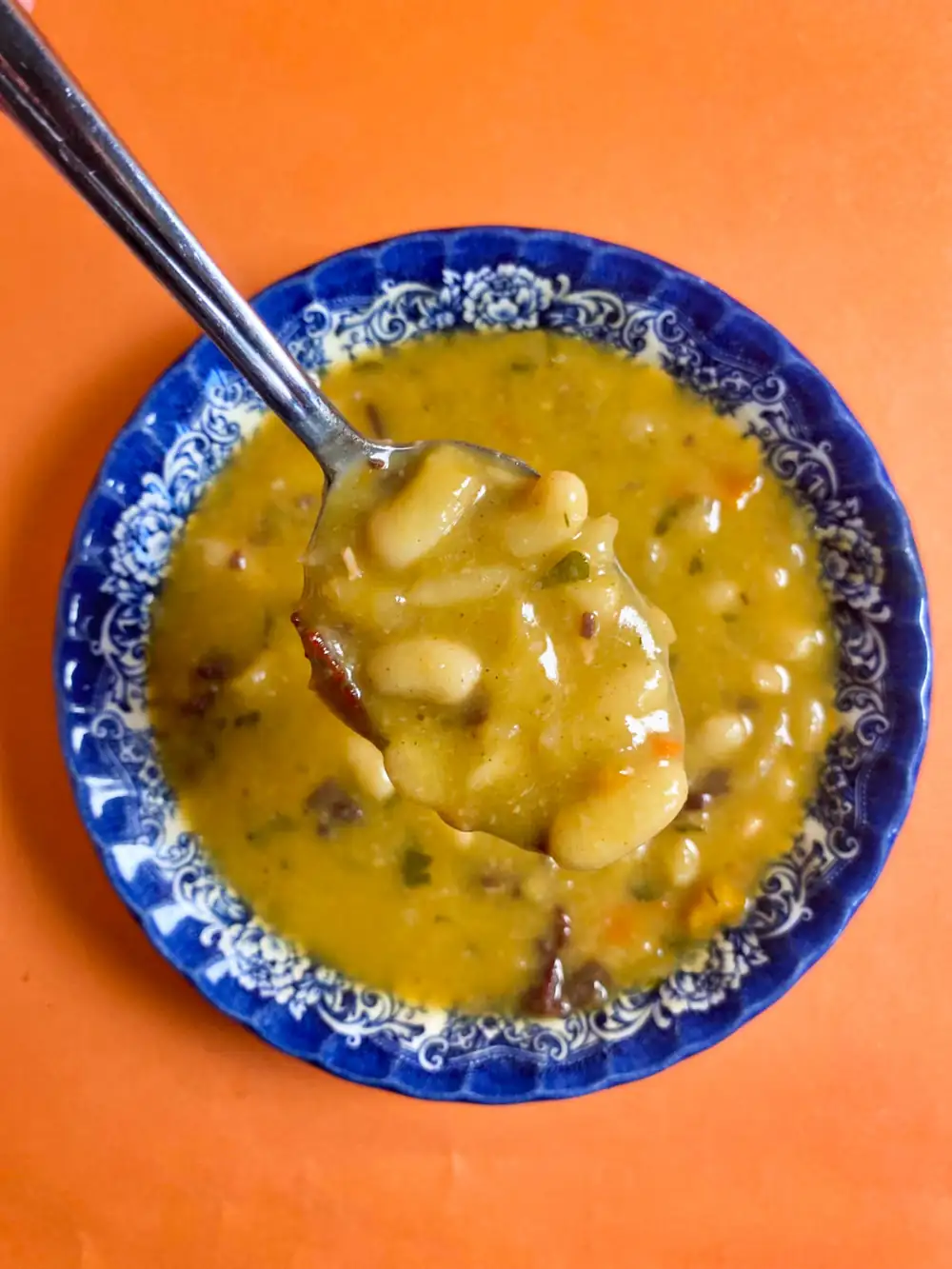 High Protein Balkan Bean Soup