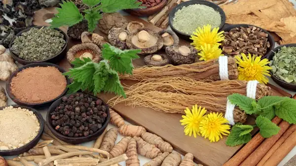 ¿Qué características definen a los ingredientes “adaptógenos” y realmente merecen la pena?