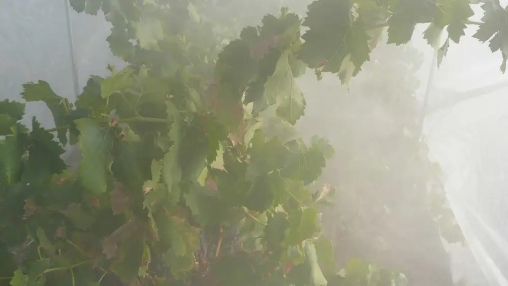 Lo que los rumores nos pueden enseñar sobre cómo combatir la contaminación por humo