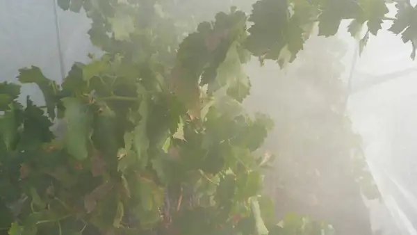 Lo que los rumores nos pueden enseñar sobre cómo combatir la contaminación por humo