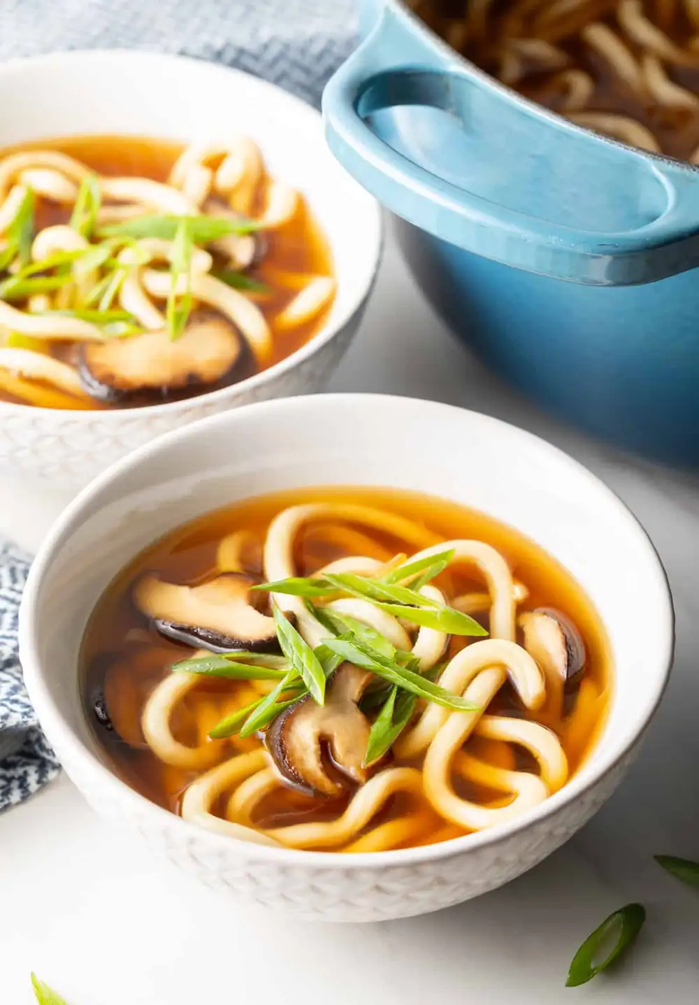 Oodles of Udon