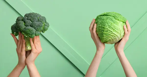 Cabbage all year round: Cabbage recipes & information