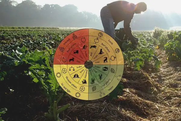 Steiner and biodynamics: successes and controversies