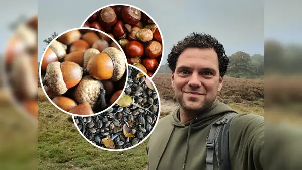 Es posible que la comida de origen animal esté en tu mesa este otoño: un guarda forestal explica qué frutos secos puedes recolectar en la naturaleza
