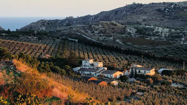 Mandranova Blends Hospitality and Olive Oil Craft in Southern Sicily