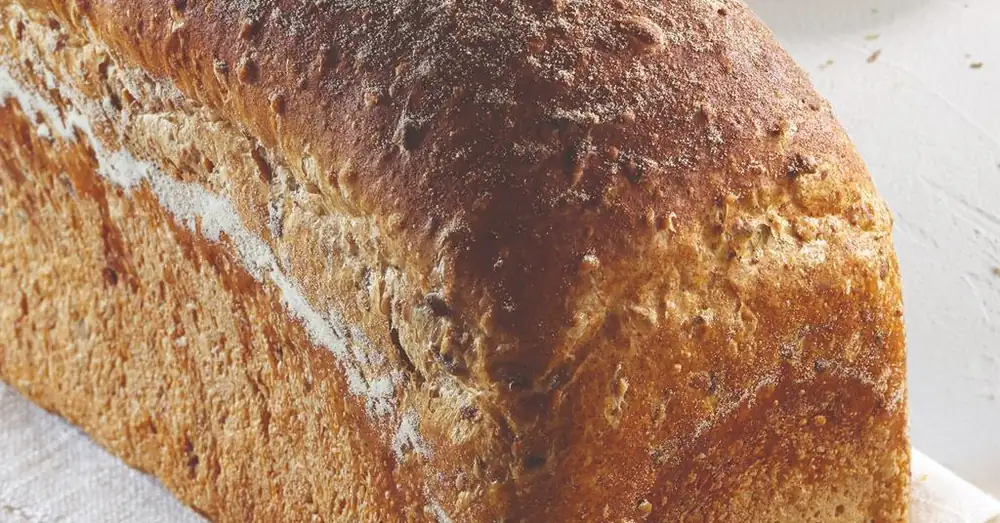 Nexture unveils new bakery ingredients as part of GLP-1 portfolio