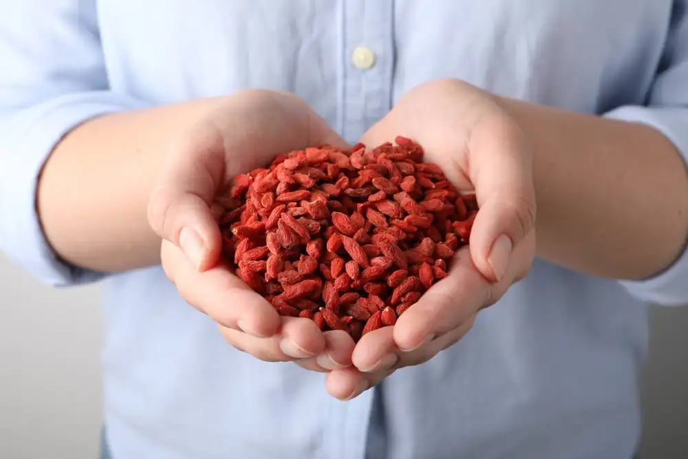 Goji berries: The future market growth of a nutritional powerhouse