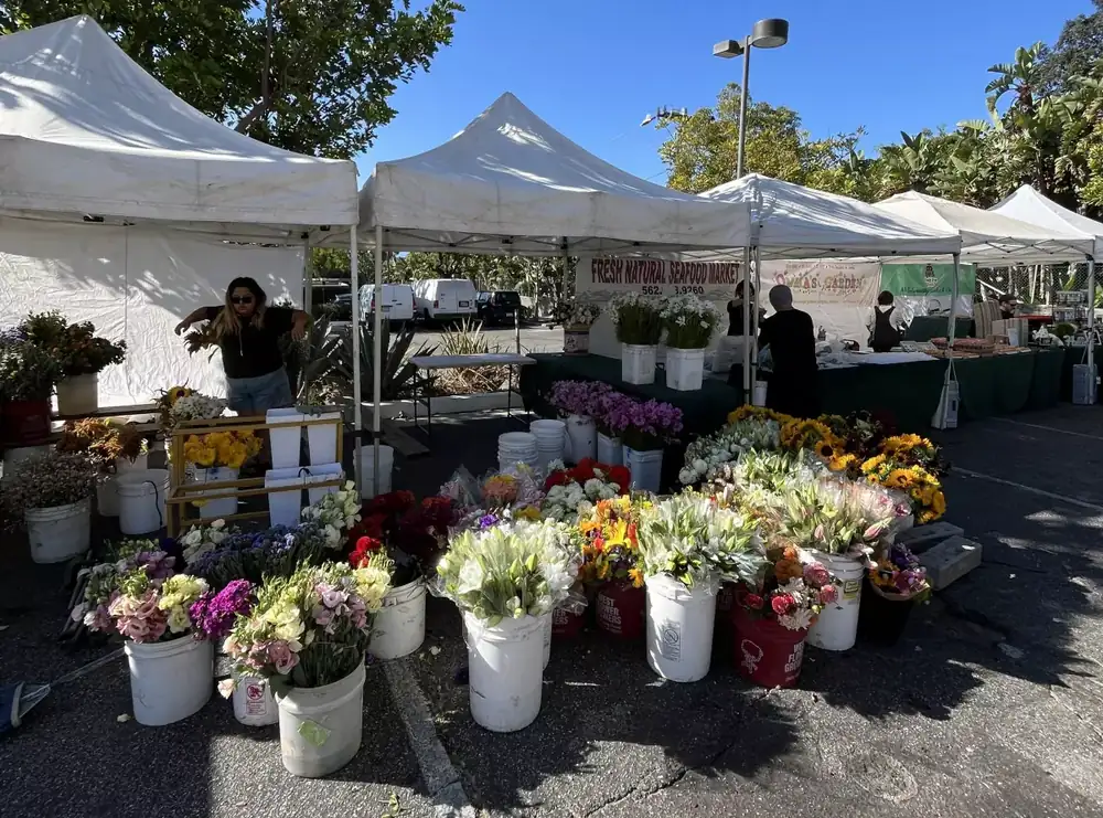 Turf drama sends celeb favorite Malibu Farmers Market packing to City Hall parking lot