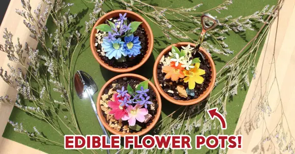 10 platos florales para sorprender a tu cita con flores en sus platos