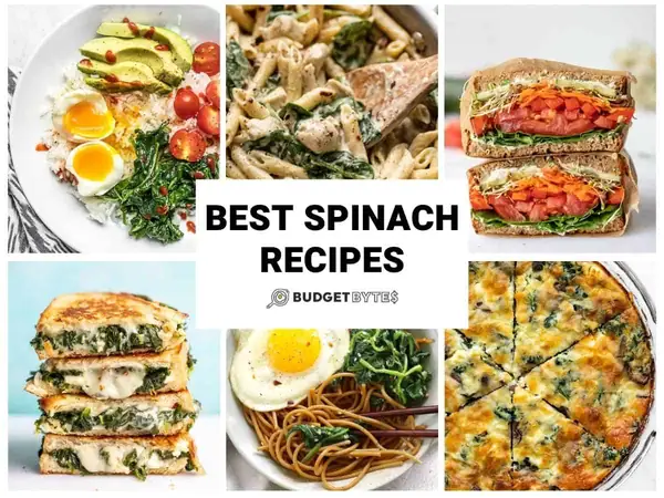 35+ Delicious Spinach Recipes