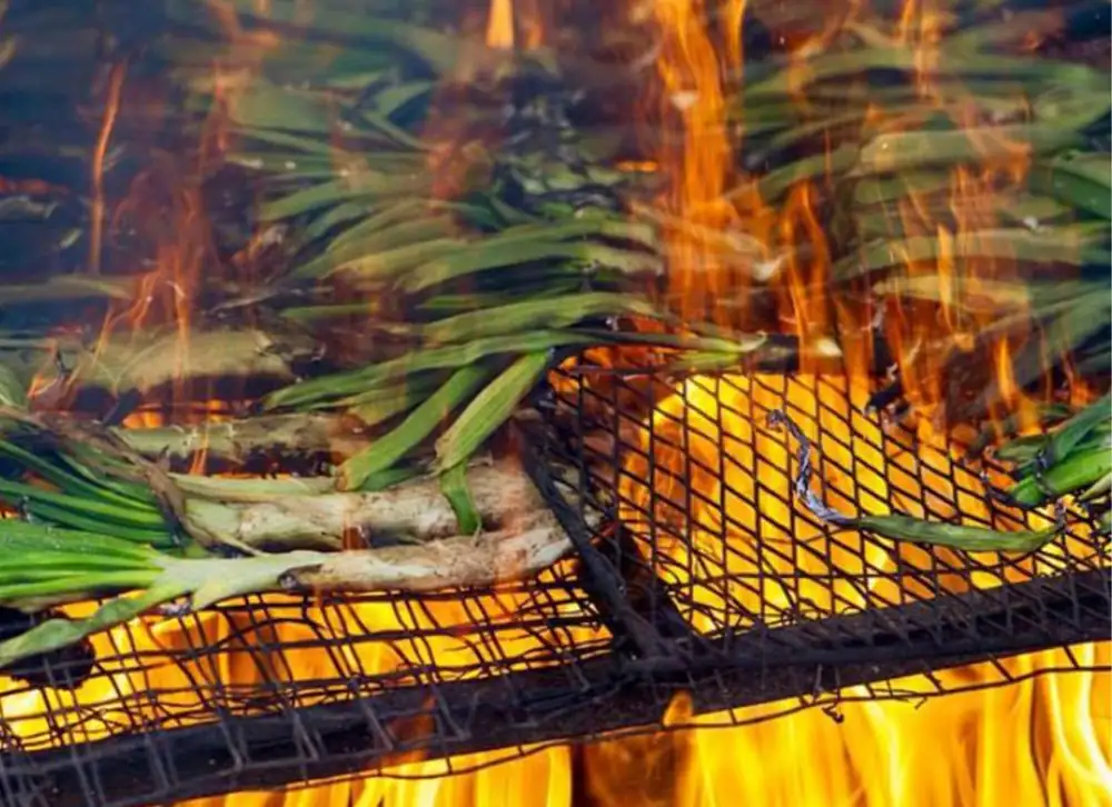Tips for enjoying the calçots season