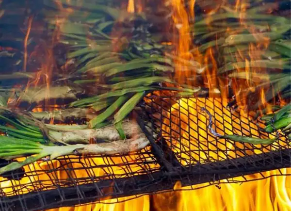 Consejos para disfrutar de la temporada de calçots