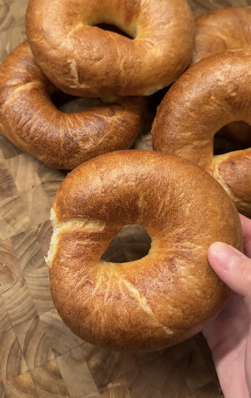 New York Style Bagels