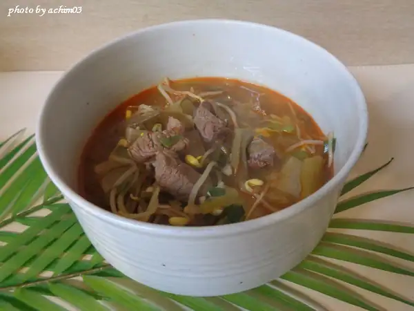 Sopa picante de ternera al estilo Gyeongsang