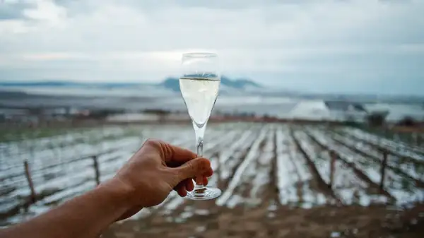 Why Michigan's Climate Is Perfect For Producing Ice Wine
