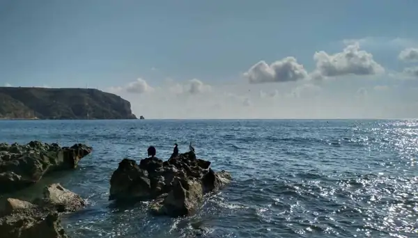 What fish and seafood to try in Xàbia this autumn
