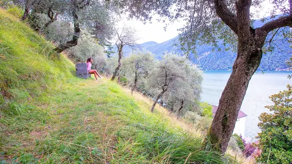 Warming Weather Gives a Boost to Swiss Olive Cultivation