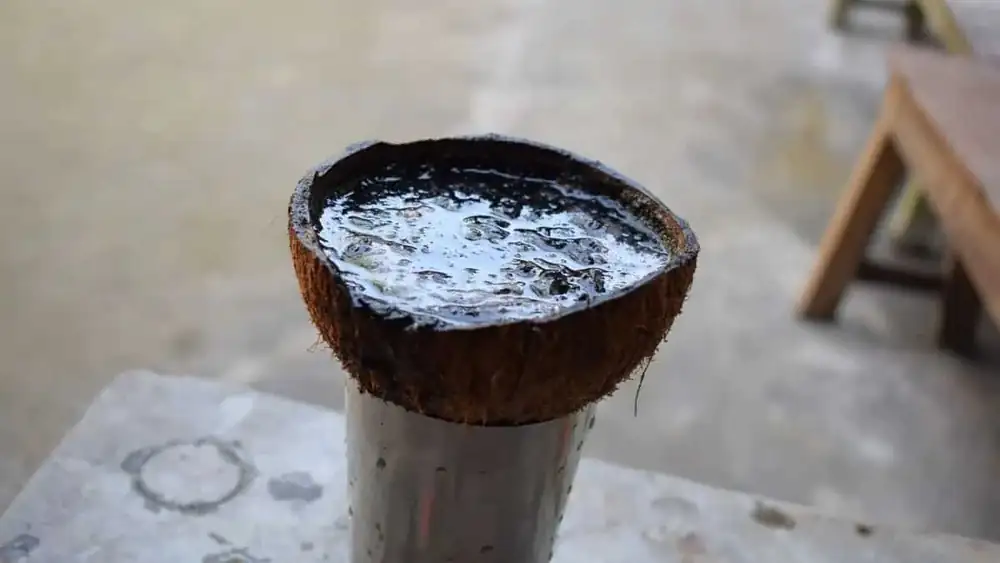 What Is Kola Khar? Exploring Assam's Unique Cooking Tradition