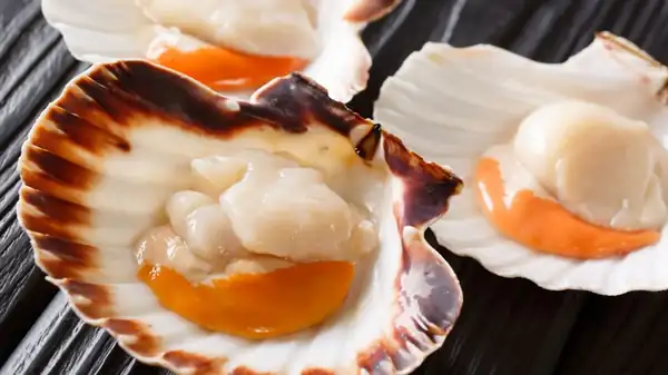 People who eat scallop coral might be surprised to learn what this orange part is