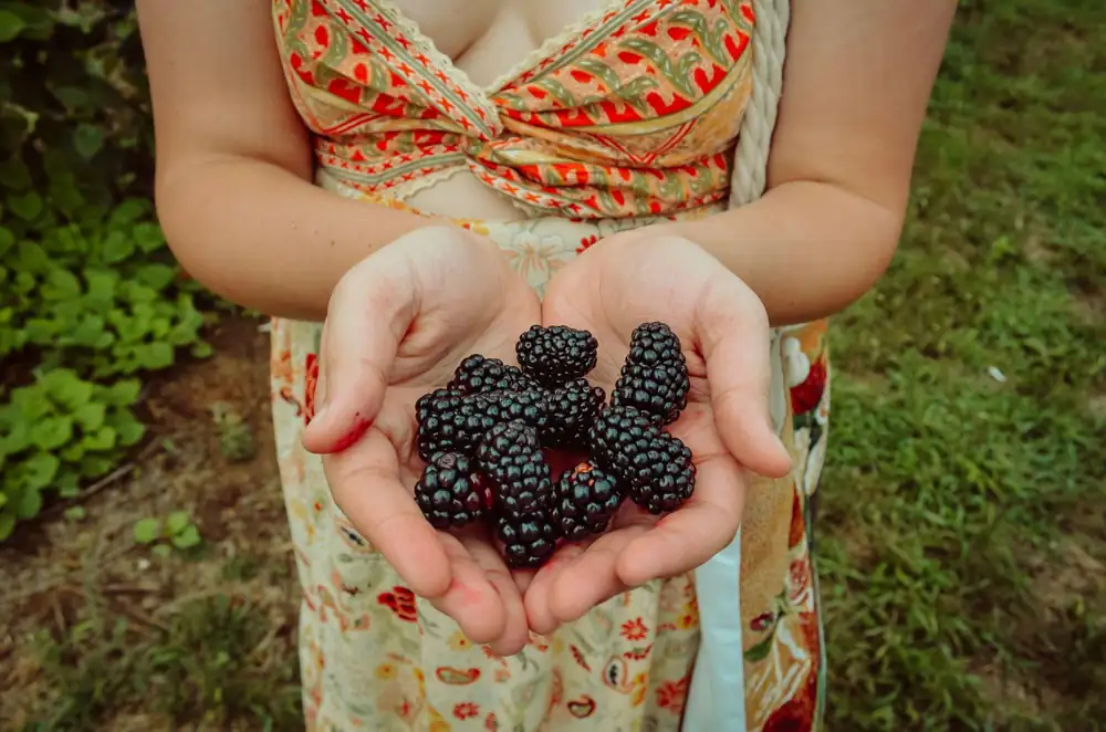 Mastering Autumn Slow Cooking with Seasonal Harvest Ingredients