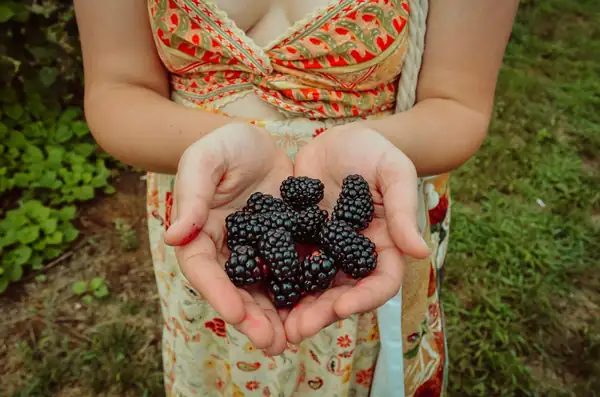 Mastering Autumn Slow Cooking with Seasonal Harvest Ingredients