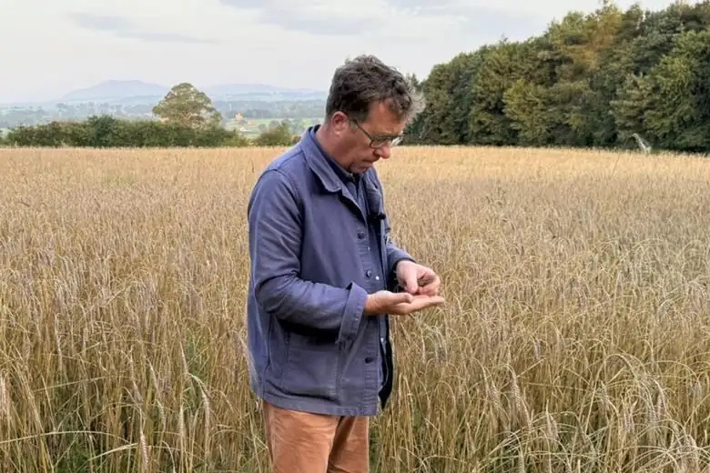 Inside the leadership strategies reshaping British baking