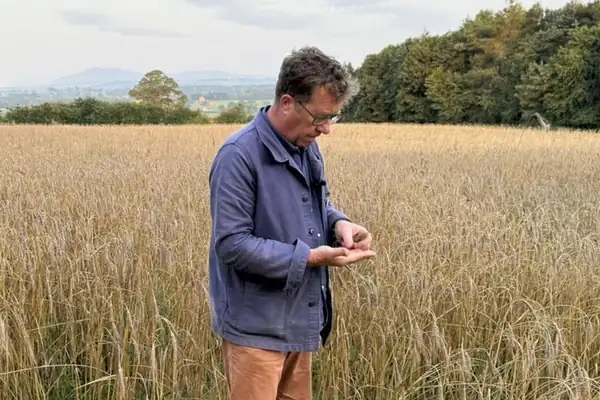 Inside the leadership strategies reshaping British baking