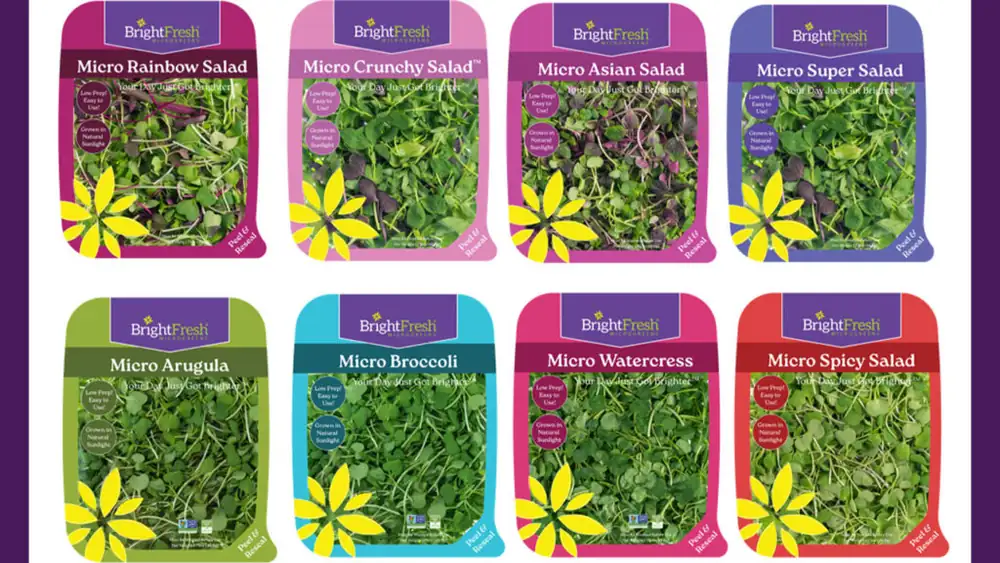 BrightFresh Microgreens to Unveil New Microgreen Salad Blends and Micro Herbs at IFPA Global Produce & Floral Show