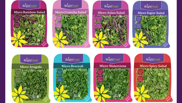 BrightFresh Microgreens presentará nuevas mezclas de ensaladas de microvegetales y microhierbas en la Feria Mundial de Productos Agrícolas y Florales de la IFPA