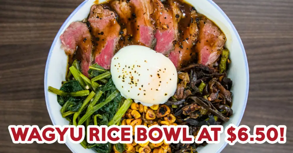Tasty Street Review: Wagyu Beef Bowl And Iberico Pork Bowl At $6.50 Nett
