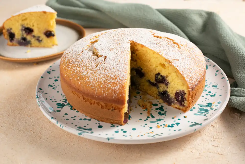 5-Minute Coconut and Blueberry Cake