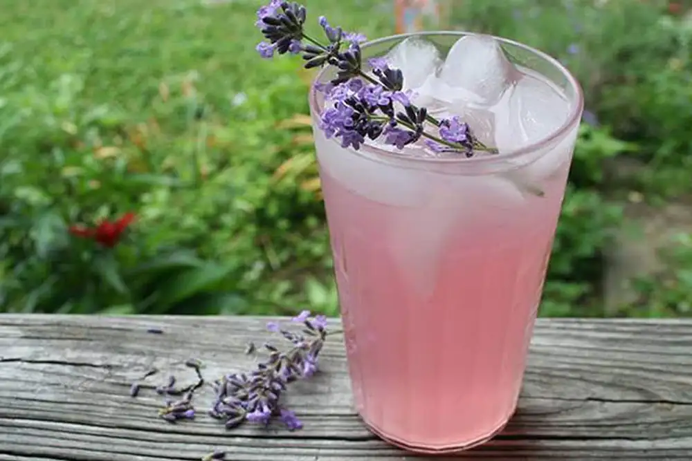 Refreshing Floral Infusions: Say goodbye to the heat!