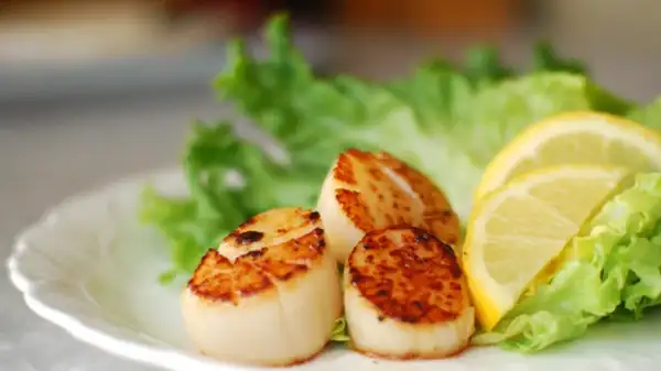 Male Vs Female Scallops: Which Ones Make The Tastiest Dish?