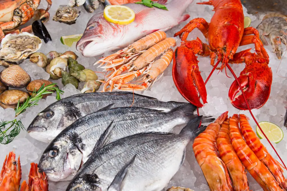 Global demand for seafood is soaring but how well funded are aquatic food tech startups?