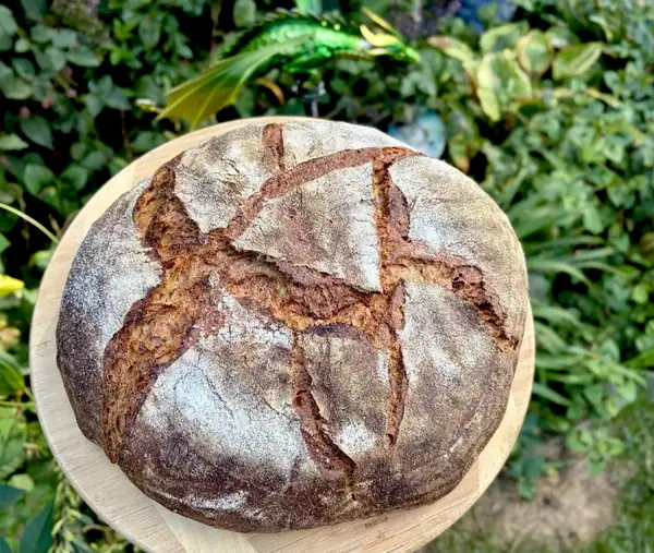 Guinness Stardust Wheat with Rye, Einkorn and a Rye Tangzhong