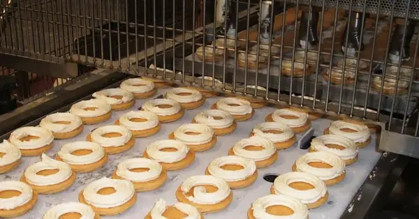 Bakery equipment innovations: ovens, freezers, trays and more unveiled