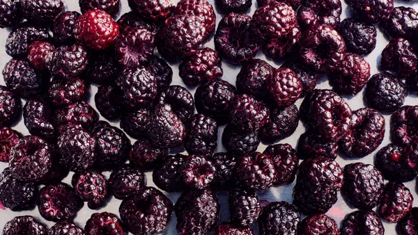 Black Raspberries Are the Fleeting Summer Fruit Worth Seeking Out