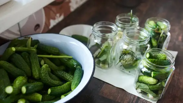 Why Removing The Blossom Ends Of Your Cucumbers Before Pickling Is A Must