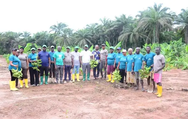 Firm expands organic food production, targets global market