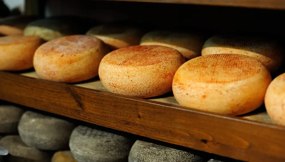 They are under threat, they risk disappearing: a difficult time for these cheeses