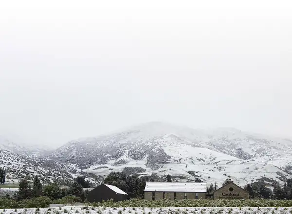 Snow and spirits at New Zealand's Cardrona Distillery