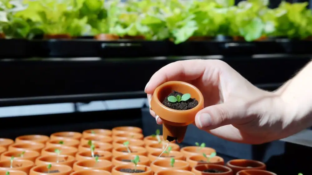 she1K angel syndicate bets on ‘democratised’ vertical farming with investment in Farmshelf