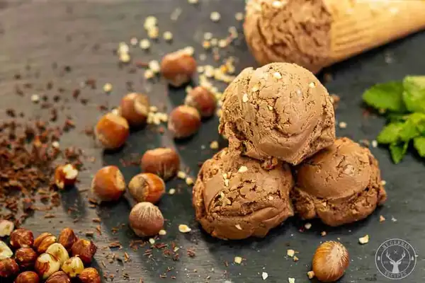 Chocolate Hazelnut Ice Cream