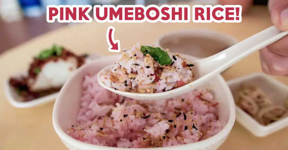 Reseña de Plum and Rice: Arroz japonés con umeboshi rosa y gachas en un puesto de comida callejera en Bedok