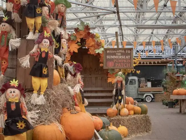 Centro de jardinería familiar a 25 minutos de Manchester con huerto de calabazas cubierto gratuito, sendero boscoso otoñal y chocolate caliente abundante
